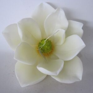 Magnolia - świeca