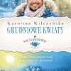 grudniowe kwiaty