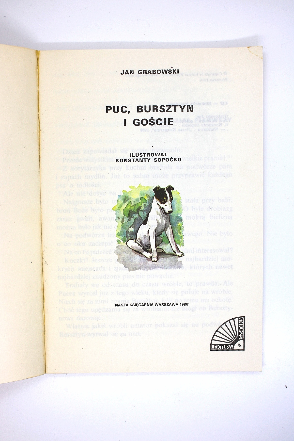 Puc, Bursztyn i goście Jan Grabowski rok wyd. 1998 2 Puc, Bursztyn i goście Jan Grabowski rok wyd. 1998 - obrazek 2