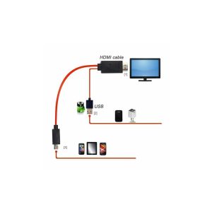 zdj 5904238720080 4